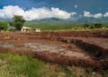 Petani Papua Pegunungan Tanam Padi Perdana, Kementan Kebut Cetak Sawah 2000 Hektare Tahun Ini