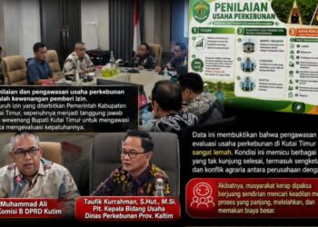 Data Ungkap Kelemahan Pengawasan Perkebunan Kutim: 344 Ribu Hektare Tanpa HGU & Kurang 61 Ribu Hektare Kebun Plasma, Bupati Diminta Tegas