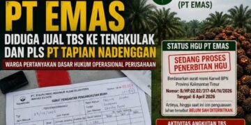 Belum Terbit HGU, PT EMAS Diduga Jual TBS ke Tengkulak dan PLS PT Tapian Nadenggan