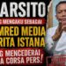 Mengaku Pemred Berita Istana, Warsito Dianggap Langgar Etika dan Paham Keliru Aturan Pers, Insan Media Siap Polisikan