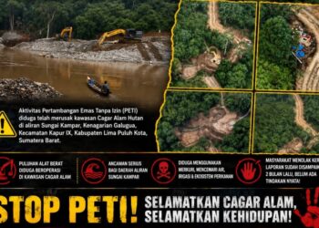 Tambang Emas Ilegal Merambah Cagar Alam di Sungai Kampar, GMOCT Minta Penegak Hukum Bertindak Tegas