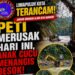 GMOCT Tegaskan Pentingnya Sinergi Media dan Penegakan Hukum Demi Masa Depan Kabupaten Limapuluh Kota