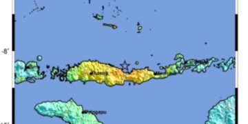 Update: Gempa M7,7 Mengguncang NTT, 14 Orang Meninggal Dunia dan Puluhan Bangunan Rusak
