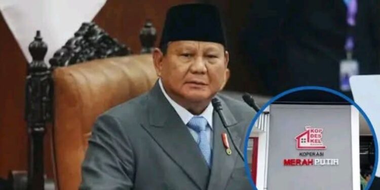 Presiden Prabowo: Rencana Akan Membuat Klinik Kesehatan di Setiap Gerai Kopdes Merah Putih