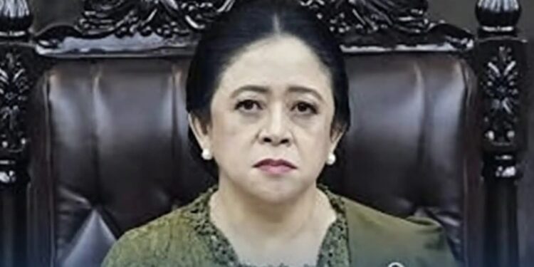 Jhon Sitorus Curiga Puan Maharani Sengaja Tak Dimasukan Dalam Komitmen RUU  Perampasan Aset
