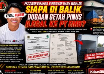 PKS Sudah Berakhir Pengiriman Masih Berjalan, Siapa Dibalik Dugaan Getah Pinus Ilegal ke PT EMB?