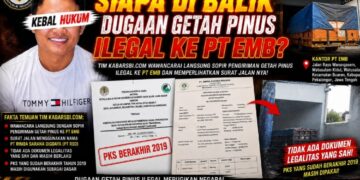 PKS Sudah Berakhir Pengiriman Masih Berjalan, Siapa Dibalik Dugaan Getah Pinus Ilegal ke PT EMB?