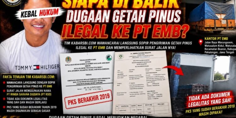 PKS Sudah Berakhir Pengiriman Masih Berjalan, Siapa Dibalik Dugaan Getah Pinus Ilegal ke PT EMB?