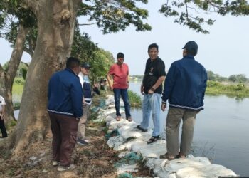 PJT II Sigap Atasi Kekeringan, Pastikan Aliran Irigasi Persawahan di Kabupaten Bekasi Tetap Mengalir