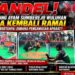 Bandel! Arena Sabung Ayam Sumberejo Wuluhan Diduga Kembali Ramai, Kapolsek Wuluhan: “Nanti Kami Cek”