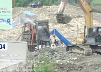 PETI Tetap Beroperasi Massif di Kotanopan, Wabup Atika Dinilai Mandul dan Gagal Jaga Kampung Halaman