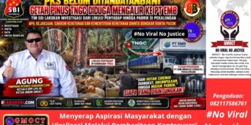 PKS Belum Tandatangan, Getah Pinus TNGC Sudah Mengalir ke PT EMB Pekalongan – APH, Kejaksaan & Gakkum Diminta Bongkar Rantai Pasok