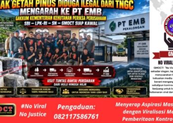 Jejak Getah Pinus Diduga Ilegal dari TNGC Mengarah ke PT EMB – Gakkum Kementerian Kehutanan Lakukan Pemeriksaan, SBI-LPK-RI-SN-GMOCT Siap Kawal
