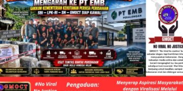Jejak Getah Pinus Diduga Ilegal dari TNGC Mengarah ke PT EMB – Gakkum Kementerian Kehutanan Lakukan Pemeriksaan, SBI-LPK-RI-SN-GMOCT Siap Kawal