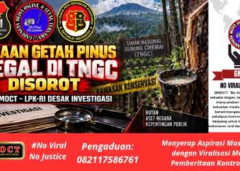 Apresiasi Wamen Desa ke Paguyuban Siliwangi Majakuning Disorot- SBI- GMOCT-LPK-RI Desak Investigasi Dugaan Getah Pinus Ilegal di TNGC