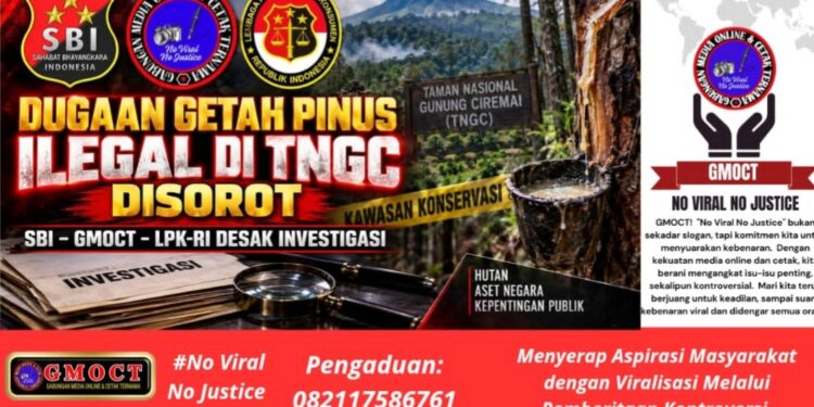 Apresiasi Wamen Desa ke Paguyuban Siliwangi Majakuning Disorot- SBI- GMOCT-LPK-RI Desak Investigasi Dugaan Getah Pinus Ilegal di TNGC