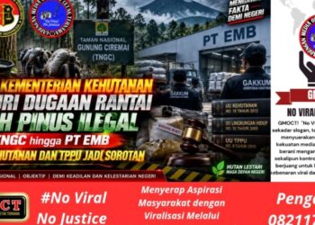 GAKKUM Kementerian Kehutanan Telusuri Rantai Getah Pinus Ilegal TNGC – Hingga PT EMB, UU Kehutanan & TPPU Jadi Sorotan Utama