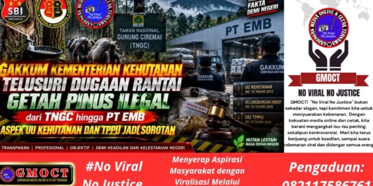 GAKKUM Kementerian Kehutanan Telusuri Rantai Getah Pinus Ilegal TNGC – Hingga PT EMB, UU Kehutanan & TPPU Jadi Sorotan Utama