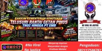 Gakkum Kementrian Kehutanan Telusuri Rantai Getah Pinus TNGC dan PT EMB, GMOCT-LPKRI-SBI Siap Kawal hingga Tuntas