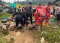 Polres Pidie Bersama TNI & Pemda Tertibkan PETI di Geumpang, Amankan Sejumlah Mesin dan Puluhan Besi Tabung Gelondongan