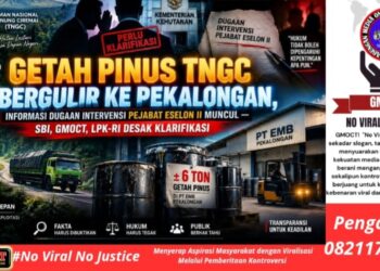 Getah Pinus TNGC Bergulir ke Pekalongan, Informasi Dugaan Intervensi Pejabat ESELON II Muncul – SBI, GMOCT, LPK-RI Desak Klarifikasi