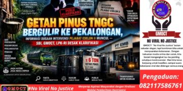 Getah Pinus TNGC Bergulir ke Pekalongan, Informasi Dugaan Intervensi Pejabat ESELON II Muncul – SBI, GMOCT, LPK-RI Desak Klarifikasi