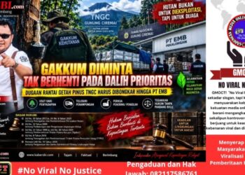 Gakkum Diminta Tak Berhenti pada Dalih Prioritas – Dugaan Rantai Getah Pinus TNGC Harus Dibongkar Hingga PT EMB