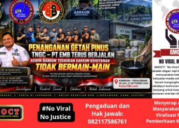 Penanganan Getah Pinus TNGC–PT EMB Terus Berjalan, Aswin Bangun Tegaskan Gakkum Kehutanan Tidak Bermain-main