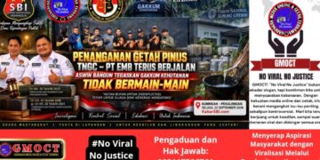 Penanganan Getah Pinus TNGC–PT EMB Terus Berjalan, Aswin Bangun Tegaskan Gakkum Kehutanan Tidak Bermain-main