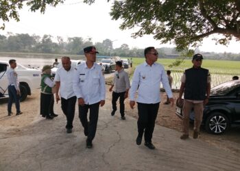 Kunjungi Pebayuran, Plt Bupati Bekasi Pastikan Aliran Sungai dan Irigasi Lancar