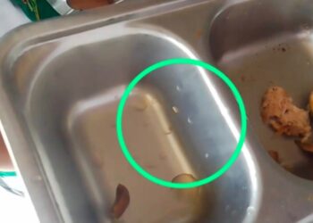 Menu MBG Berbelatung di Curugbitung Lebak, Deni BCW Tuntut Operasional SPPG Dihentikan